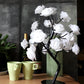 Rose Flower Lamp USB Battery Operated LED Table Lamp Bedroom Decoration Lights Home Decor
