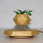 Floating Magnetic Levitating Flower Pot Bonsai Air Plant Pot Planter Potted For Home  Decor