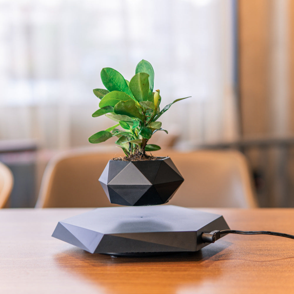 Floating Magnetic Levitating Flower Pot Bonsai Air Plant Pot Planter Potted For Home  Decor