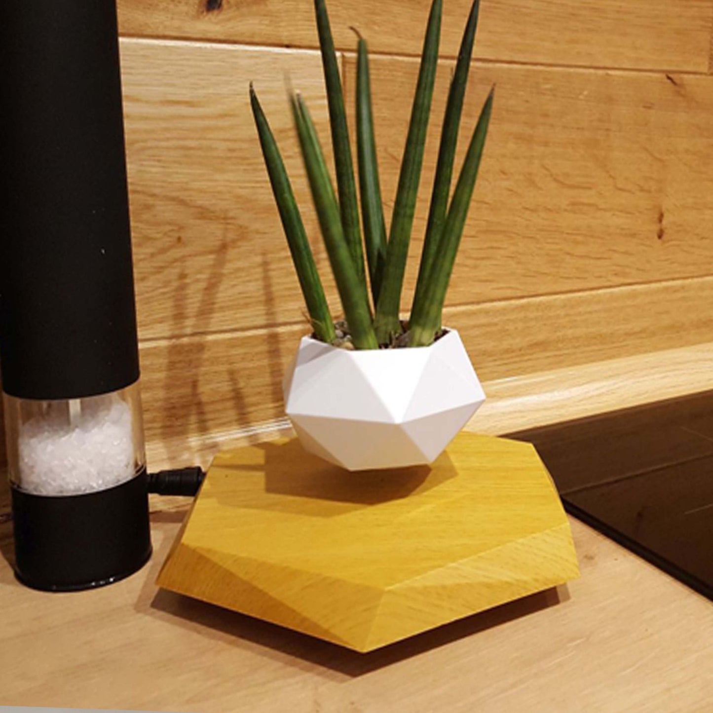 Floating Magnetic Levitating Flower Pot Bonsai Air Plant Pot Planter Potted For Home  Decor