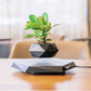 Floating Magnetic Levitating Flower Pot Bonsai Air Plant Pot Planter Potted For Home  Decor